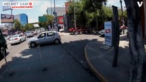 Dodging Cars And Danger For A Determined Dog