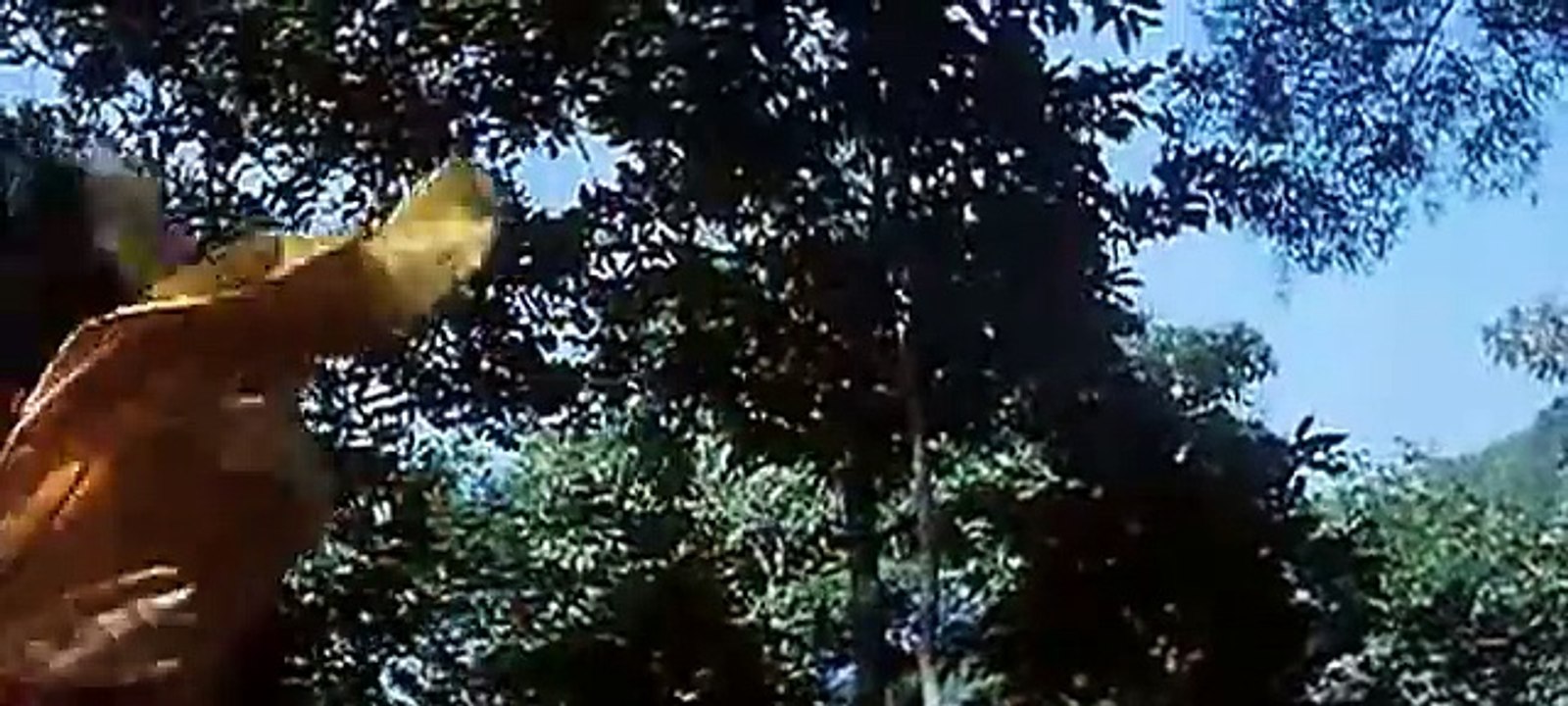 OS 18 HOMENS DE BRONZE (Artes Marciais) Carter Wong - Filme Completo _ Legendado.