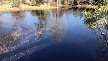 HTG - Nintendo Switch Anywhere