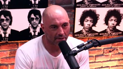 Joe Rogan Rants About The Left Turning on Itself