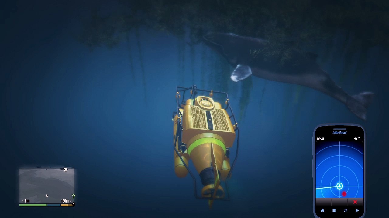 Murder Squale