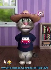 Tom cat in punjabi language - YouTube