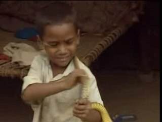 L'Inde des jours et des hommes : Les Animaux (7/12)