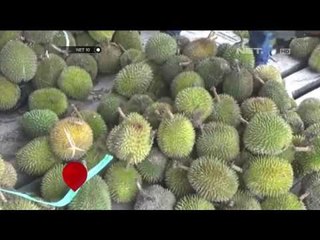 Durian Mentega Banjiri Tarakan - NET 10