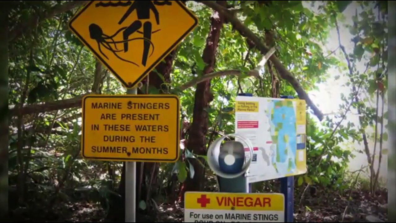 10 Playas más peligrosas del mundo