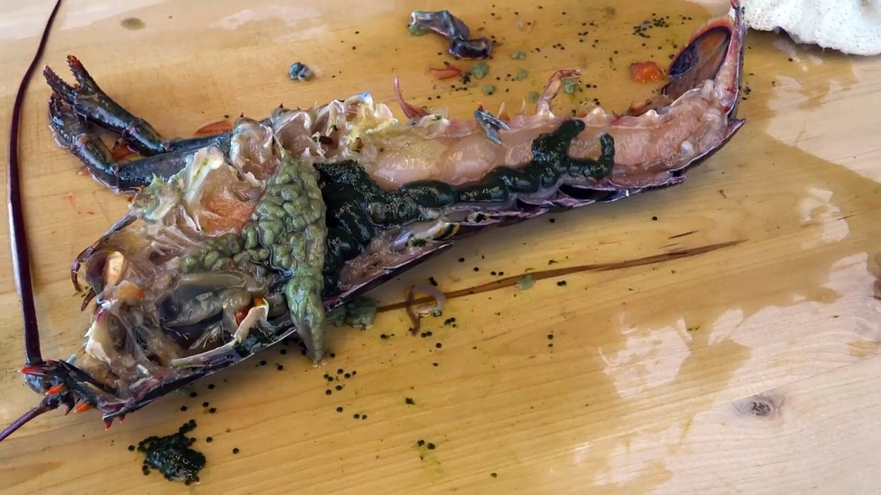 EXTREMELY GRAPHIC: 1 Pot Lobster Takikomi Gohan