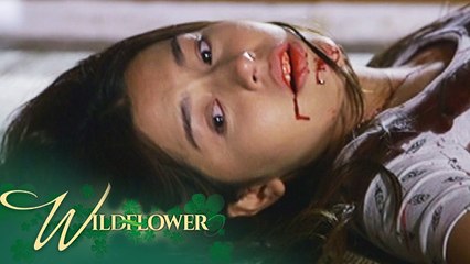Wildflower: Arnaldo shoots Nimfa | EP 93