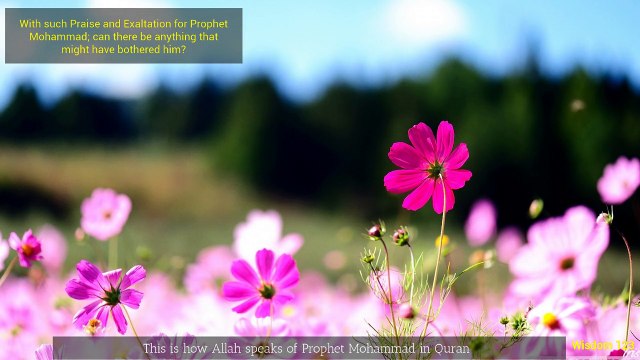 Pain of Prophet Mohammad SAWW