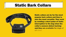 Different Types of Bark Collars and Their Work