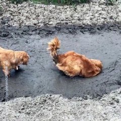 C'est ce qu'on appelle un gros bain de boue