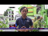 Sukses dengan Keberadaan Kampung Warna-warni, Pemkot Malang Hadirkan Kampung Putih-  NET5