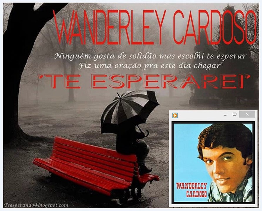 Wanderley Cardoso - 'Te esperarei' (Video Arts)