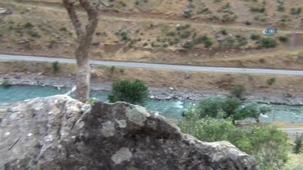 Ağacın Gücü Dev Kayayı İkiye Böldü