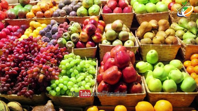 Top 10 Weird Hybrid Animals That Are Hard To Believe Actually Exist On Earth || మనుషులు శృష్టించిన 10 వింత జంతువులు ఇవే