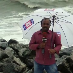 Nature Done Fun With NEWS Anchor