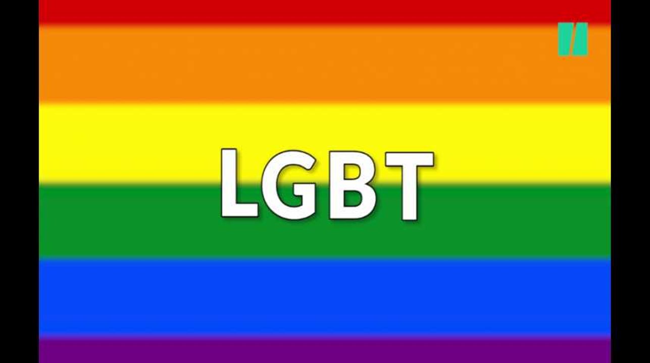 Connaissez-vous le sigle LGBT (ou LGBTQIA) ? Voici sa signification, lettre  par lettre - Vidéo Dailymotion