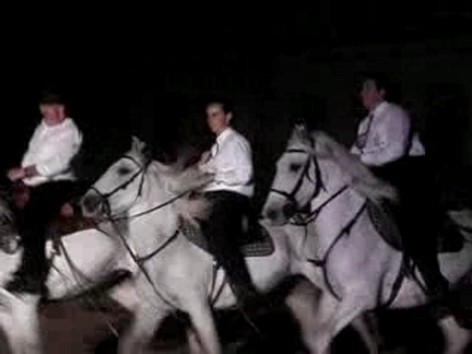 MOV01008