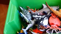 Shark Toys Kids Toy Box Sea Animals Toy Whales sassea turtles caretta caretta turtles