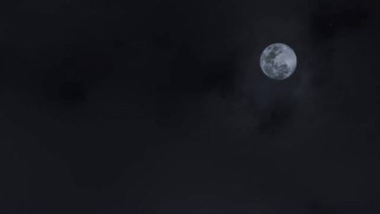 Arman Méliès & Alain Bashung - Ivres