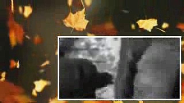 western movies full length - Trigger Pals Classic Western Movies Full Length Free English