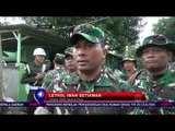 Pengosongan Rumah Dinas TNI - NET 10