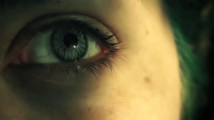 Arman Méliès - Dans La Cendrée