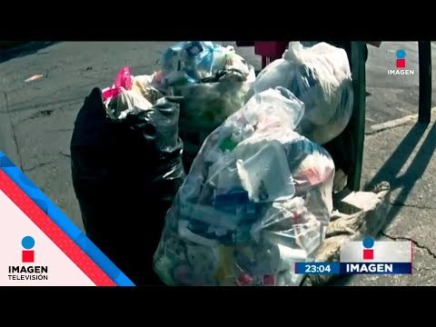 Ni los recolectores de basura saben cómo separar la basura| Noticias con Ciro Gómez Leyva