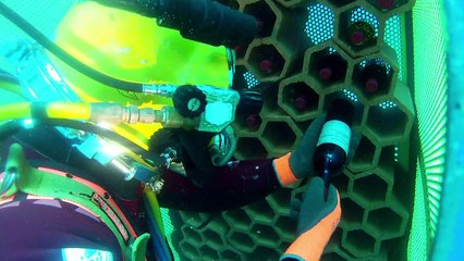 La mer, source d'éternelle jeunesse pour le vin de Bandol