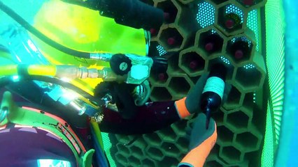 La mer, source d'éternelle jeunesse pour le vin de Bandol