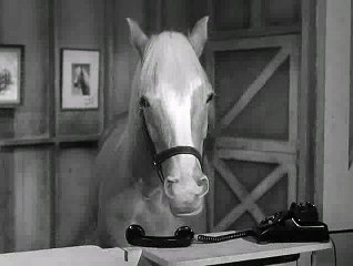 Mister Ed S01E26 - Wilbur's Big Sale: Can He Keep Ed? 🐴