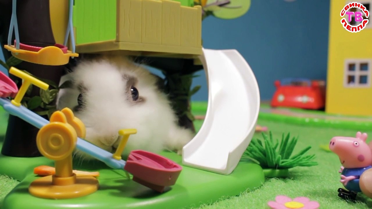 Niños para dibujos animados Peppa Pig Temporada 1 Episodio 8 devoche dibujos animados juguetes de dibujos animados