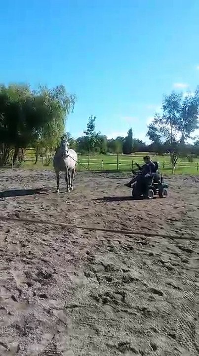 Vizir longe.mp4
