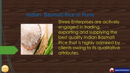 Shree Enterprises