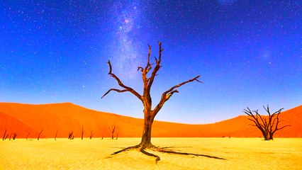 The 30 best photographs ever taken without photoshop