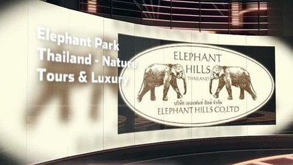 Elephant Hills Luxury Tented Camp