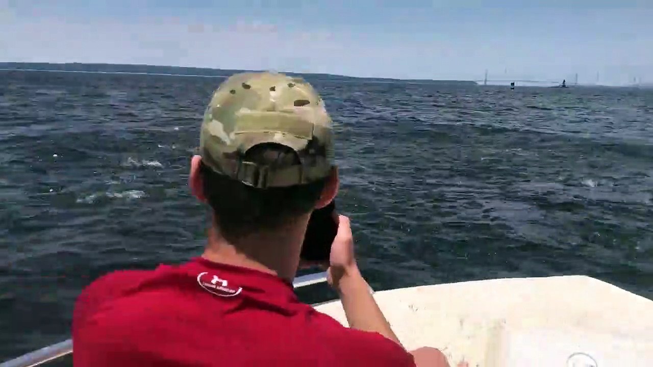 Une baleine à bosse a décidé de leur donner un spectacle à côté du bateau