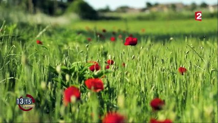 "13h15". Mutique jusqu'à sept ans, Nelly enchaîne les concours de chant