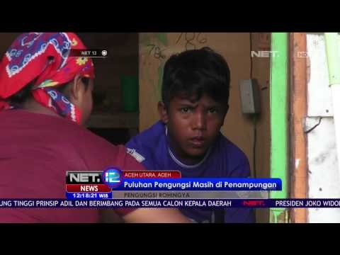 26 Pengungsi Rohingya Masih Menetap Di Penampungan Di Aceh Utara - NET 12