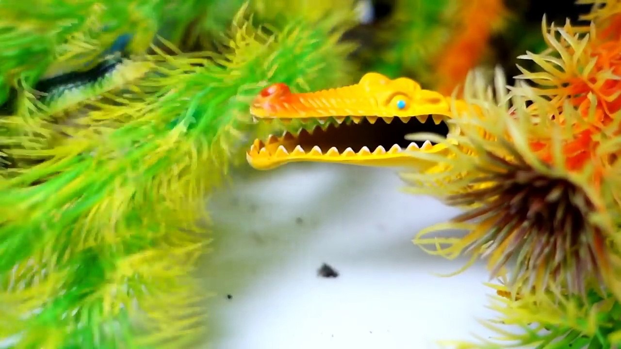 Enfants pour et dessin animé sur rex russe bataille dinosaure dinosaure Tyrannosaurus requins igrush