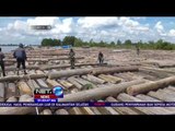 Ribuan Batang Kayu Jenis Meranti Diamankan Petugas di Sungai Barito Kalimantan Selatan - NET 24