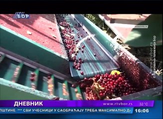 Dnevnik, 24. jun 2017. (RTV Bor)