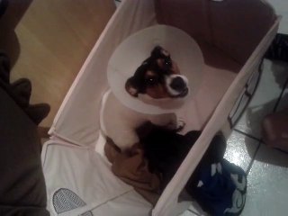 Pour vous mes potes je chante