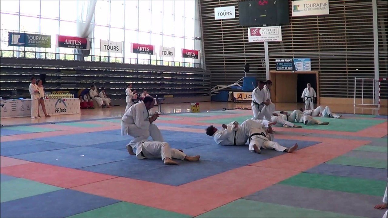 Démonstration de JUJISTU - juin 2017