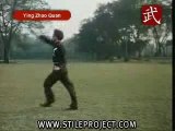 Martial Arts - Shaolin Kung Fu - Eagle Claw Style