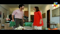 Woh Aik Pal Episode 16