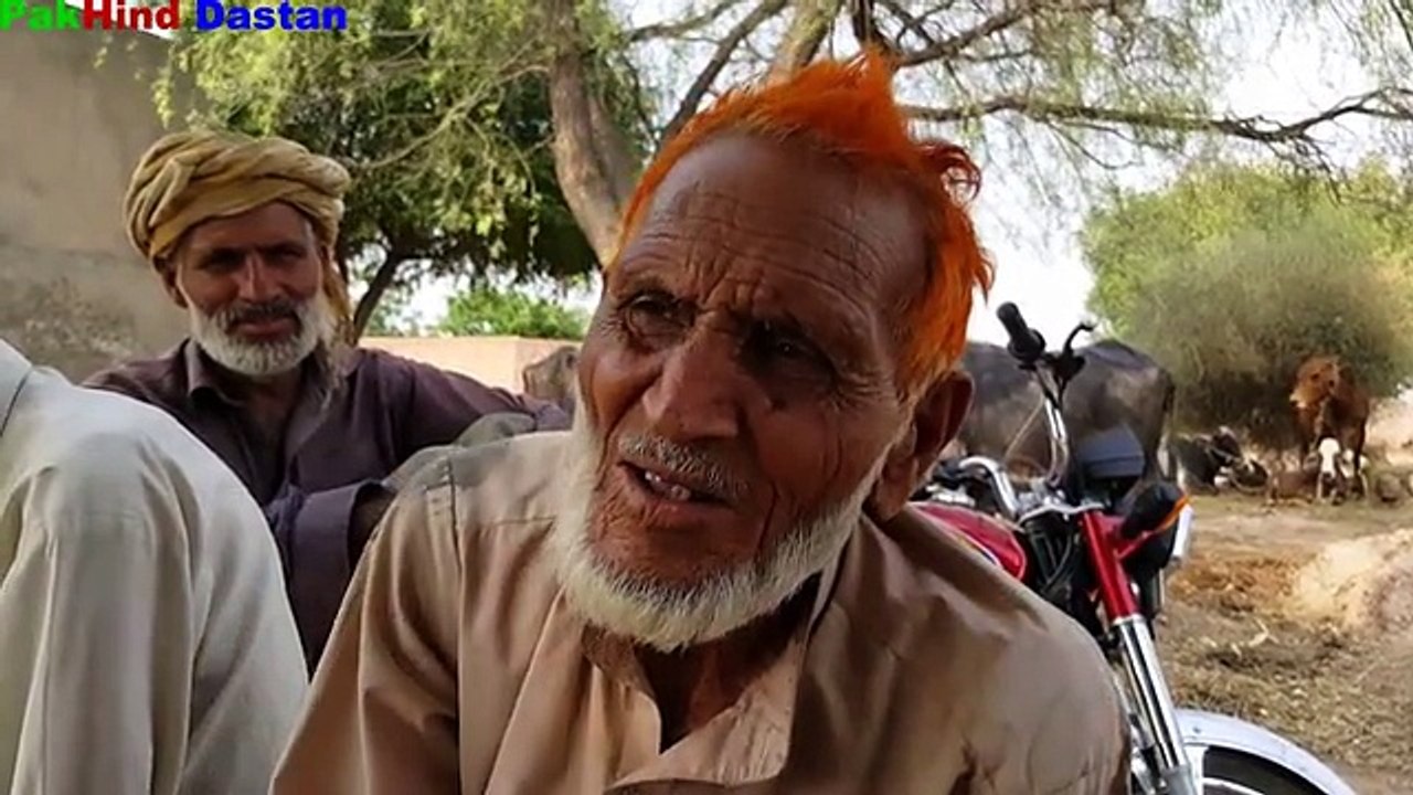 two brothers telling about pak india partition