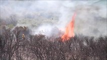 Milas'ta Makilik Alanda Yangın
