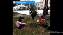 Funny Chinese videos - Prandsak chinese 2017 ca