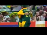 amazing catches I Best Flying Catches I in the history of cricket I worth watching