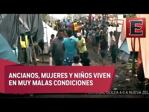 Guatemaltecos desplazados sufren carencias en campamentos instalados en Campeche